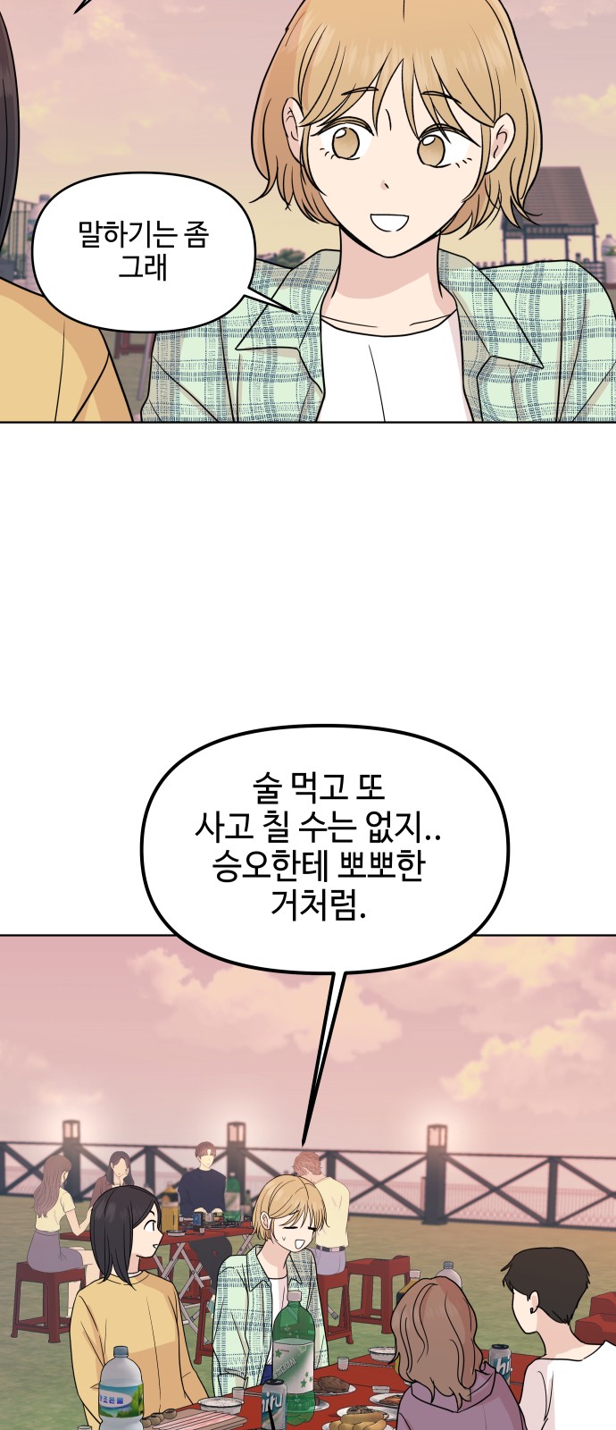 29 페이지