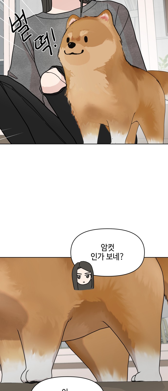 46 페이지