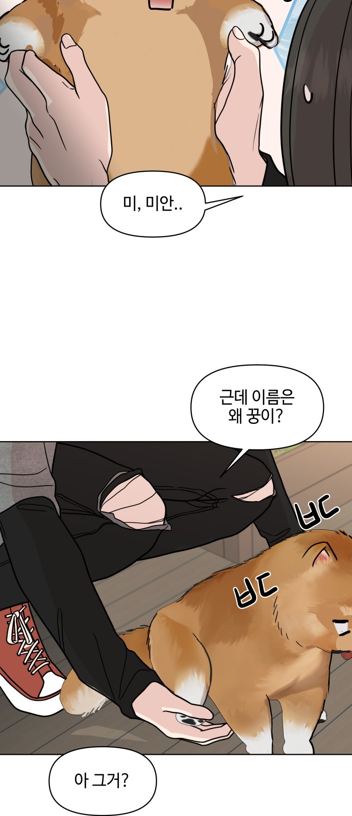 49 페이지