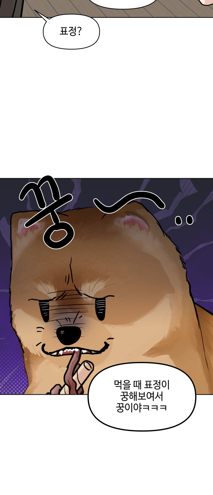 52 페이지