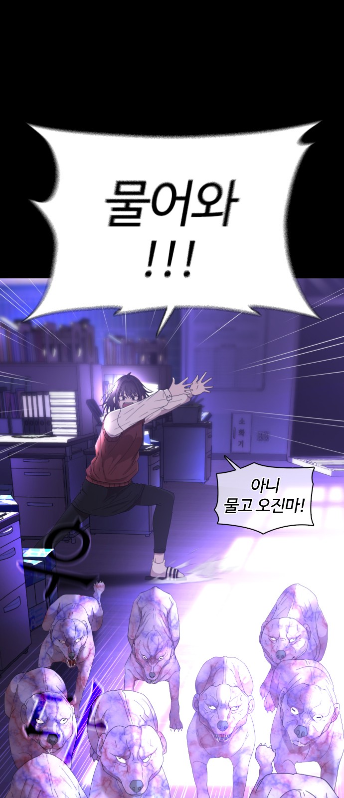 43 페이지