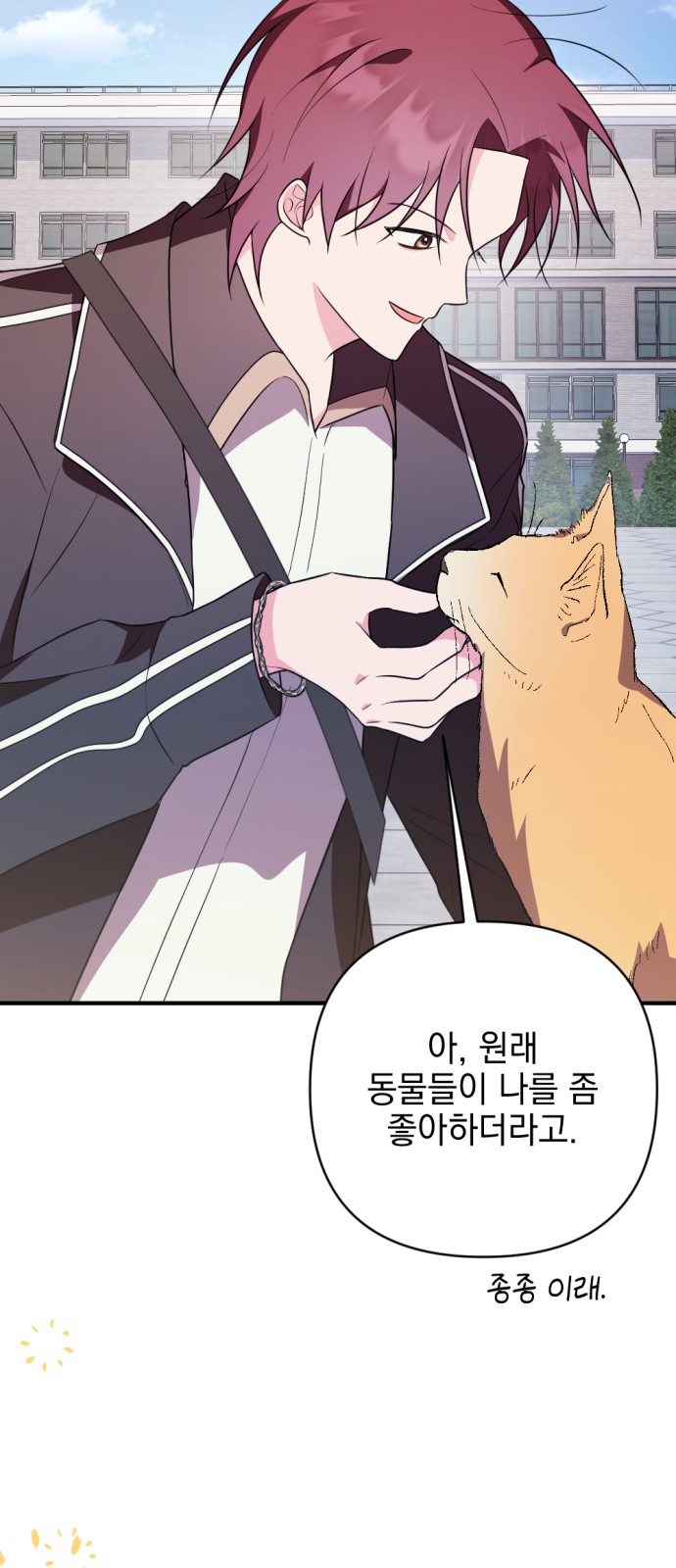 91 페이지
