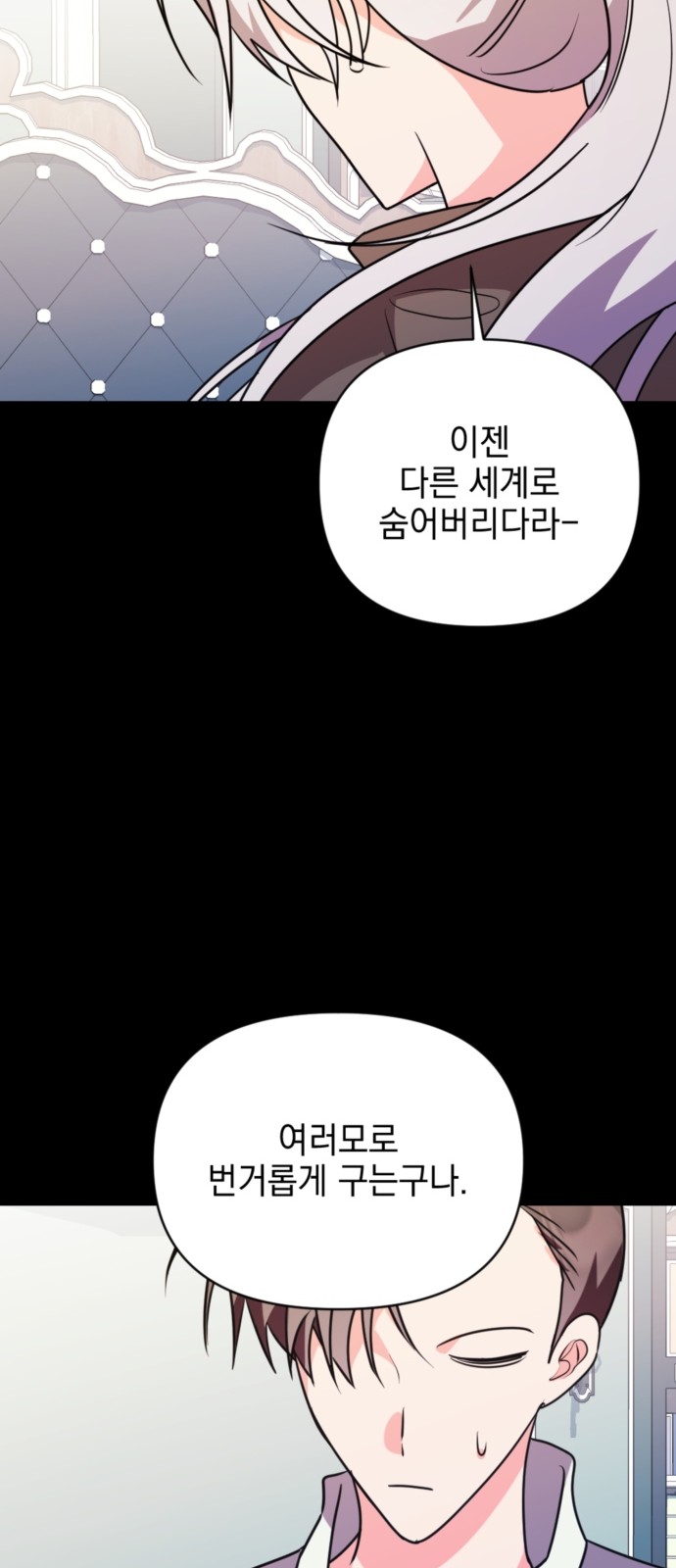 33 페이지