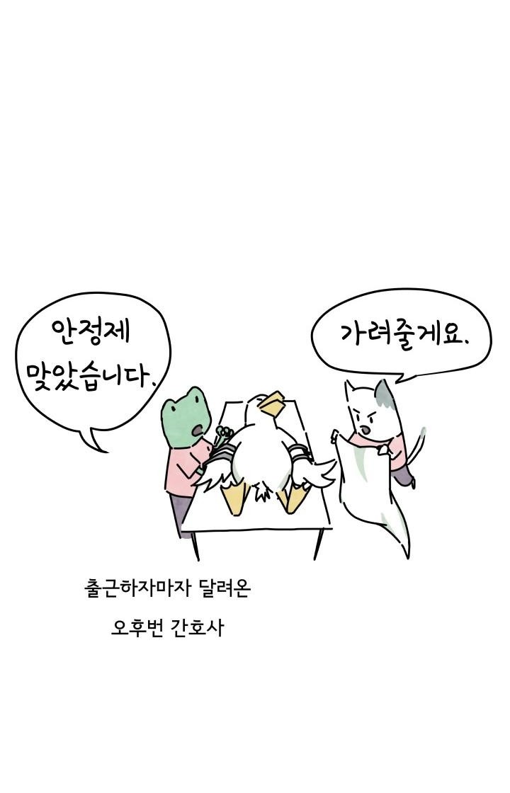 61 페이지
