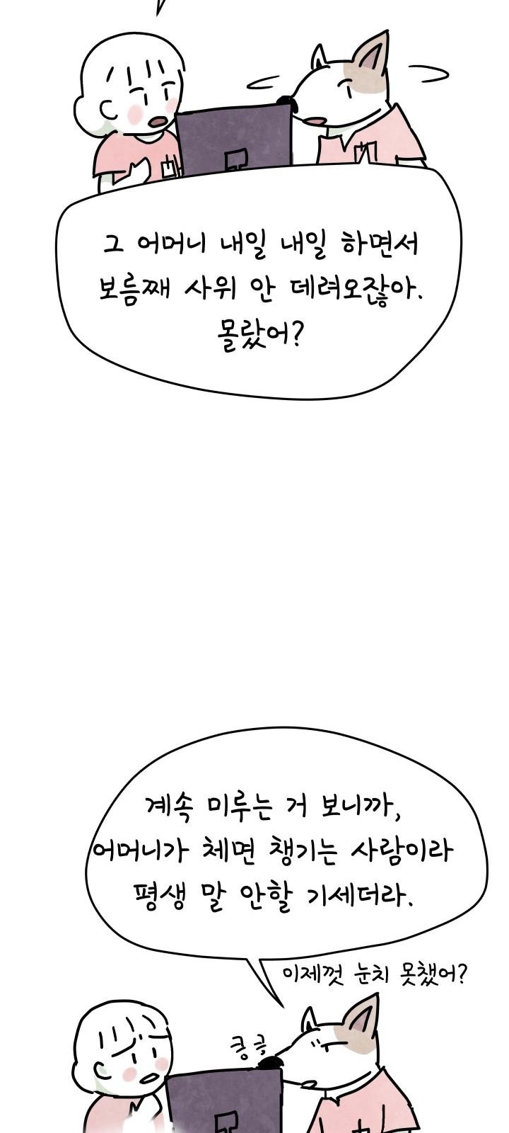 41 페이지
