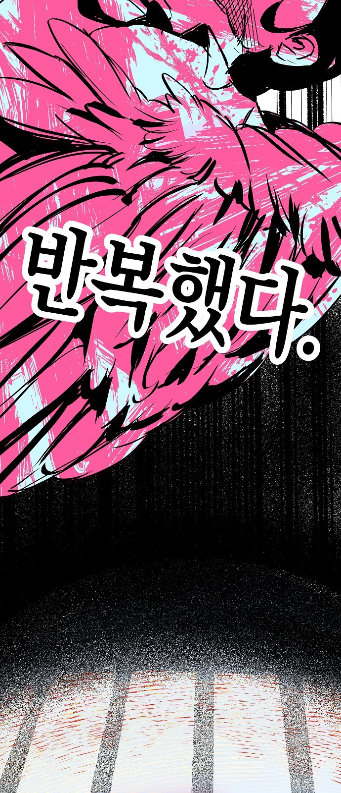 116 페이지