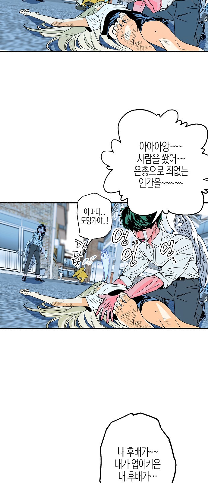17 페이지