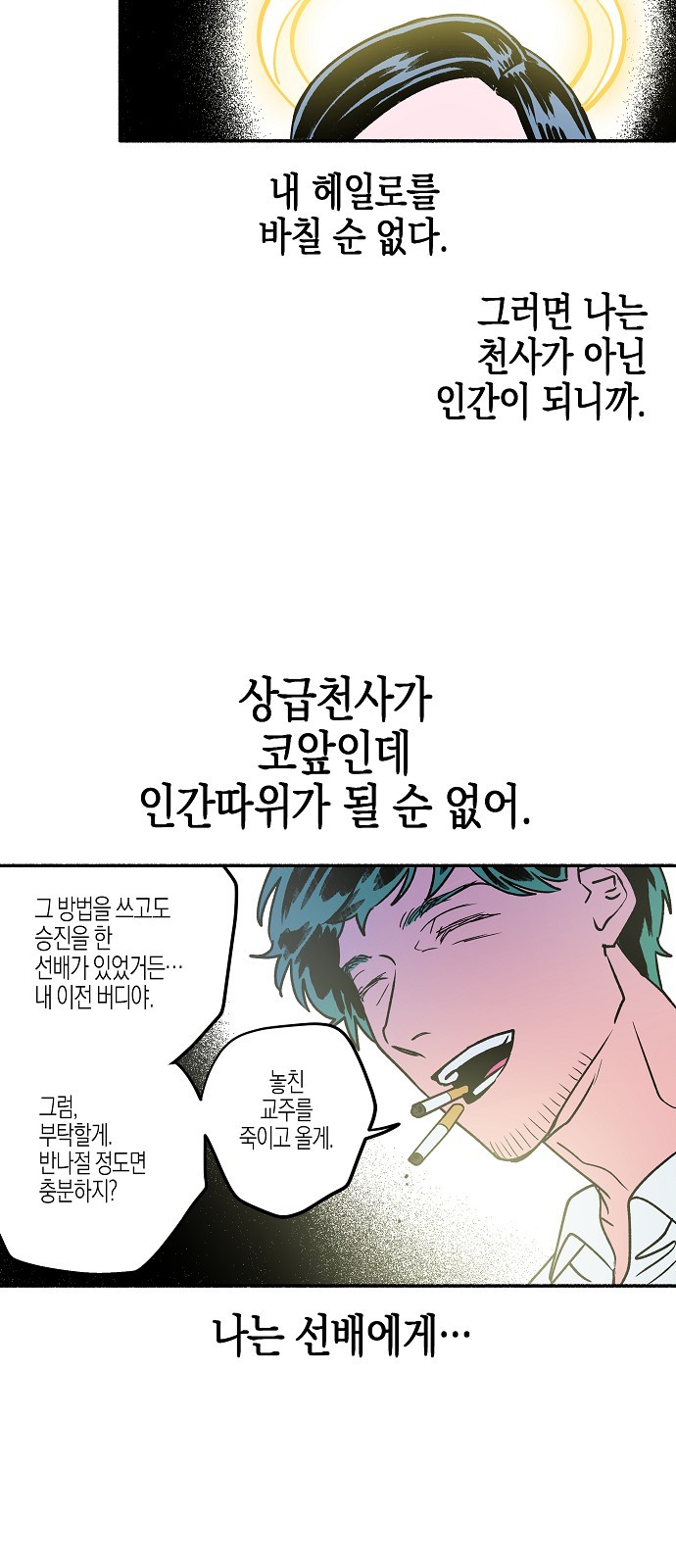 33 페이지