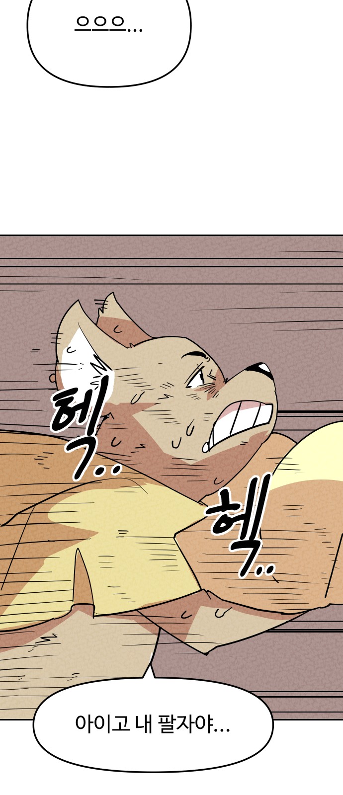 14 페이지