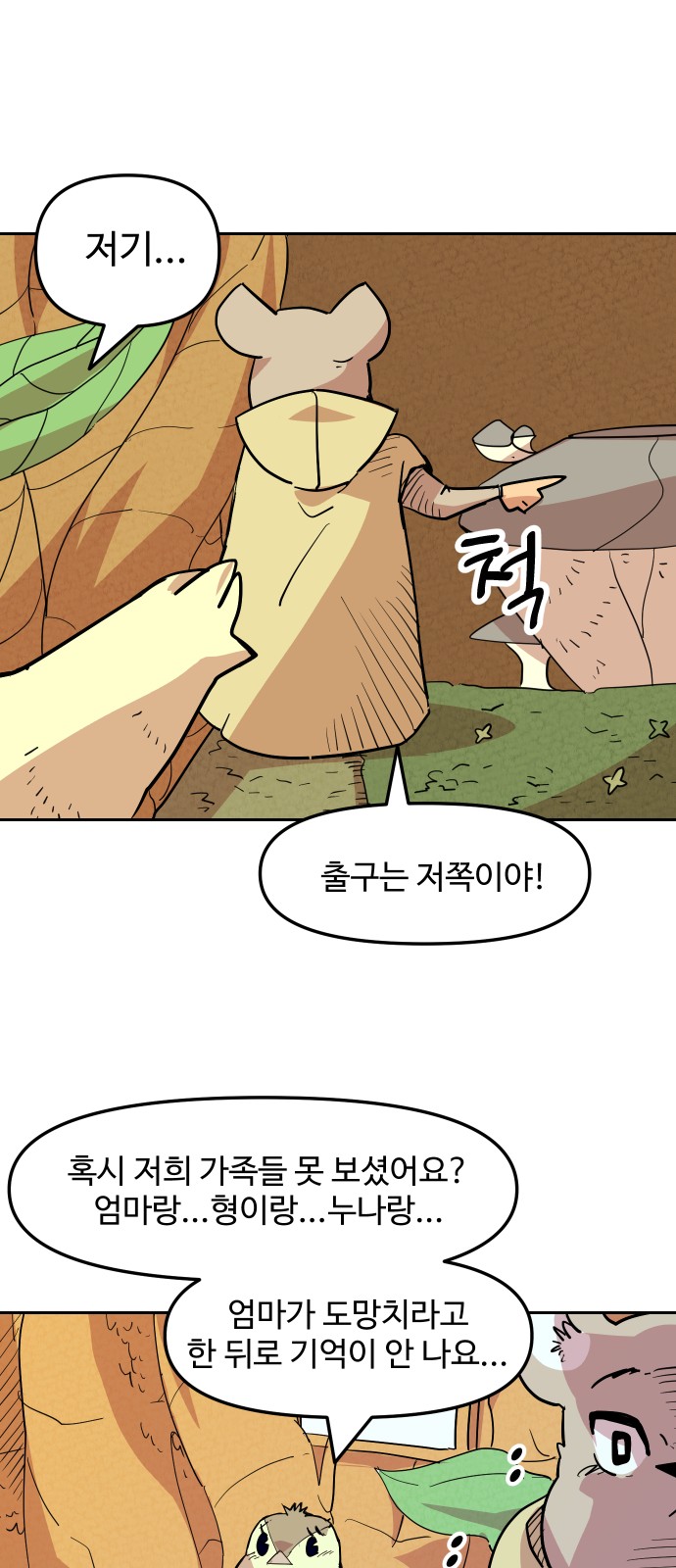19 페이지
