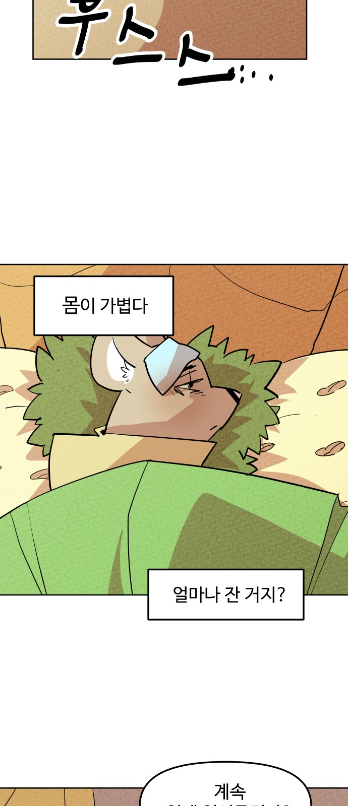 65 페이지