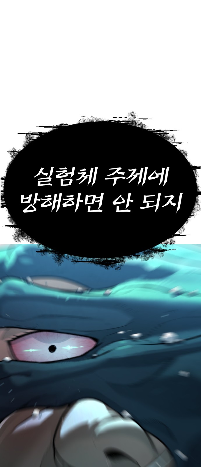 111 페이지