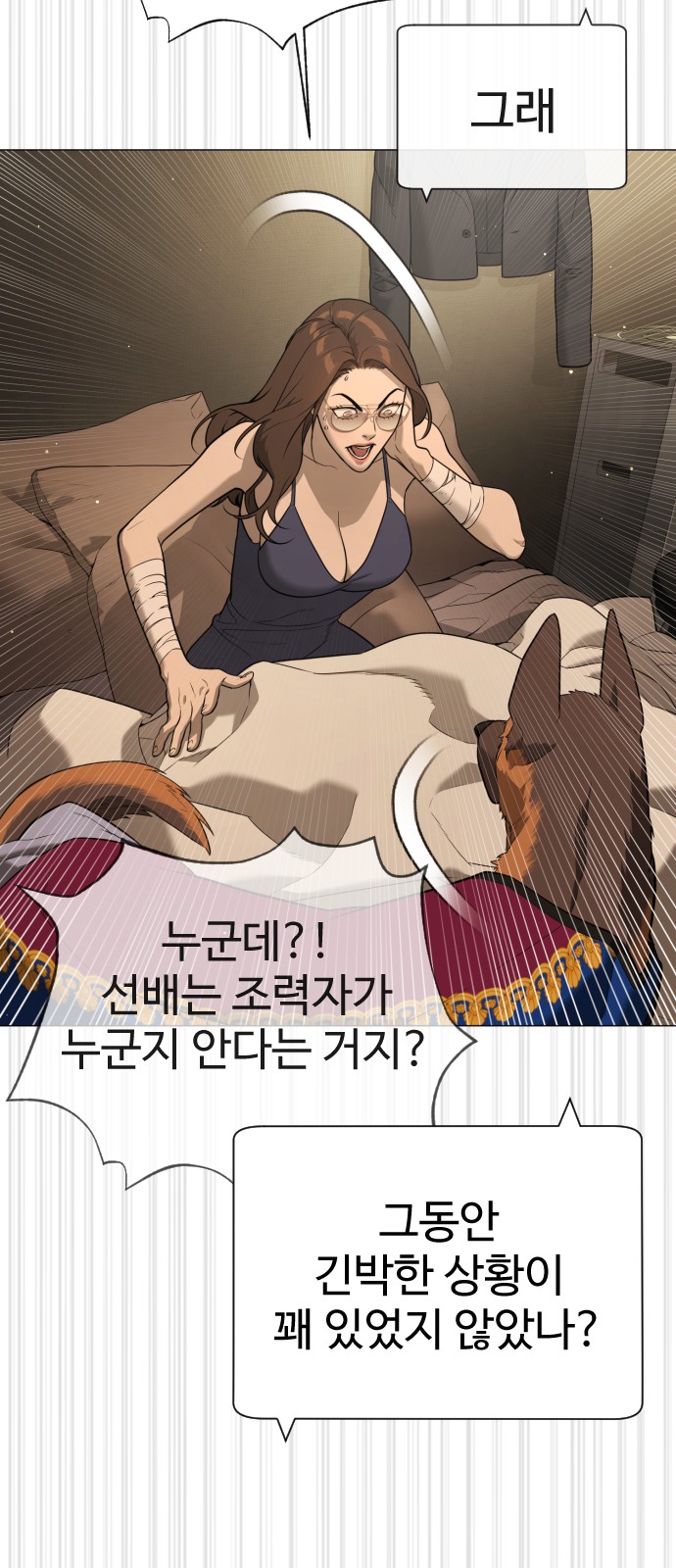 116 페이지