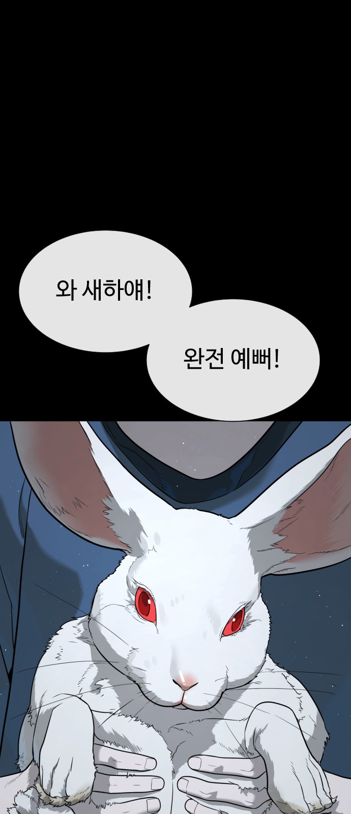 85 페이지