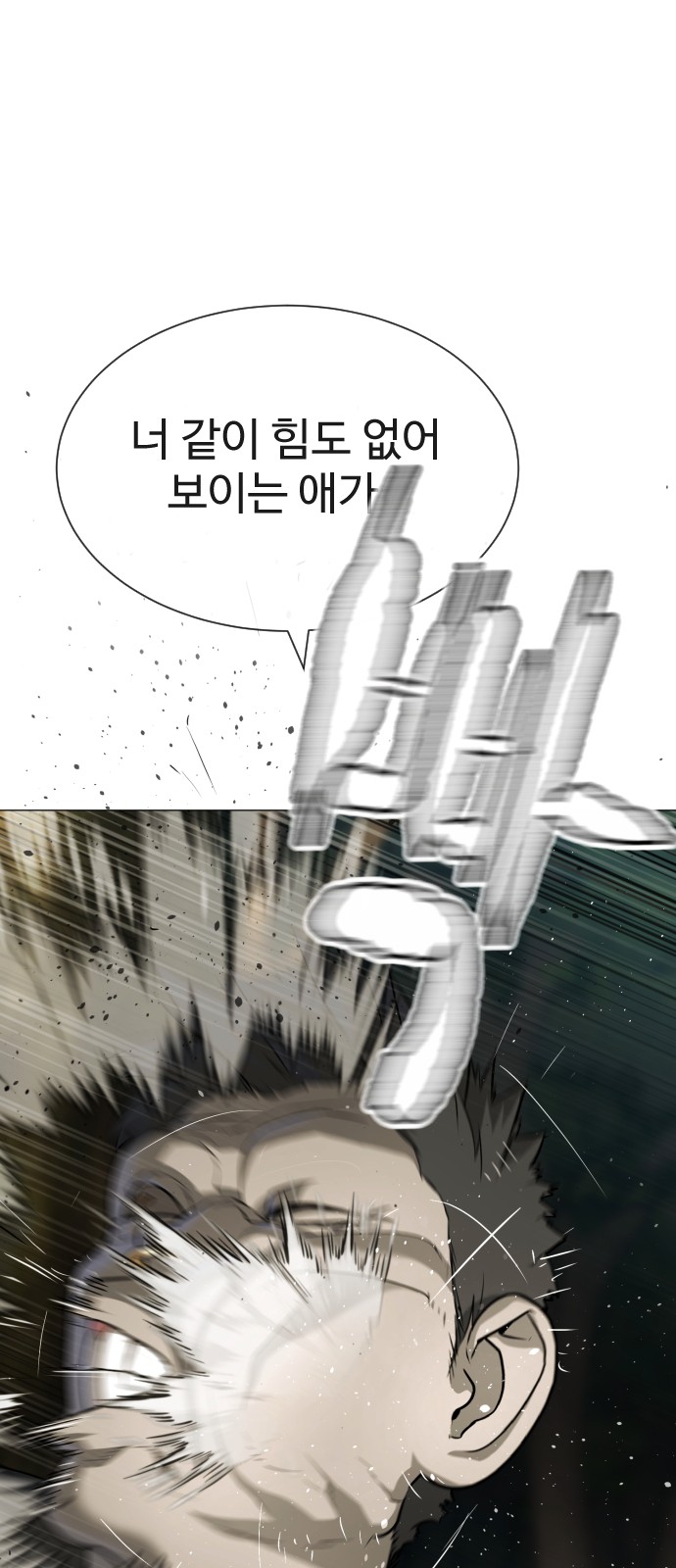 113 페이지