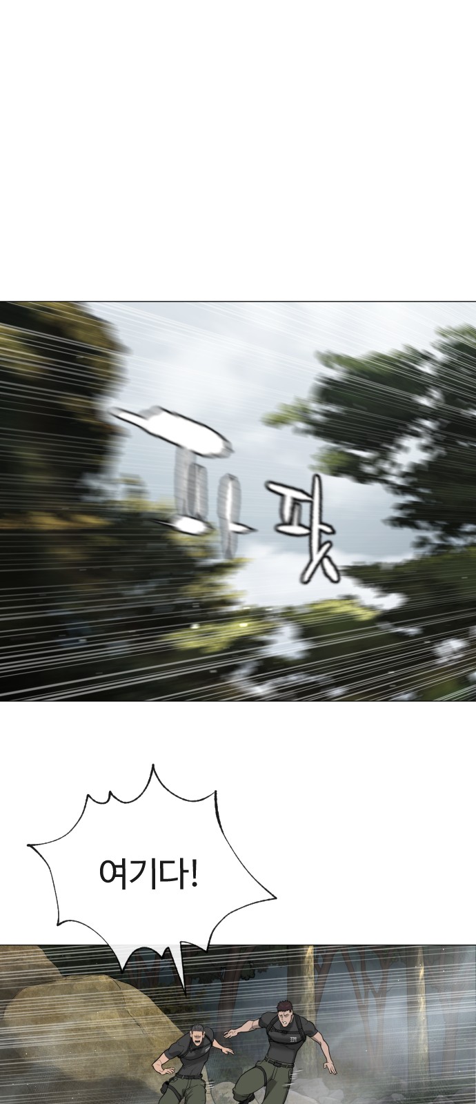 113 페이지
