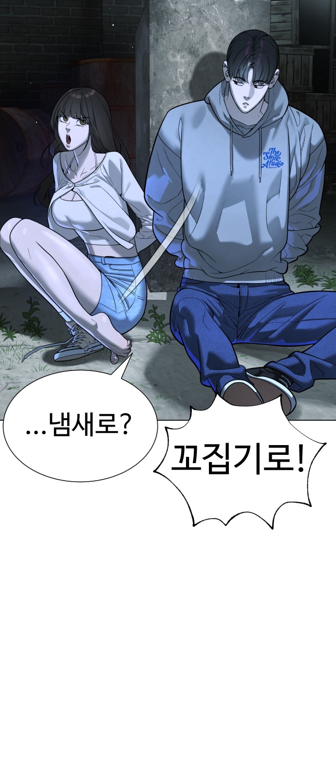26 페이지
