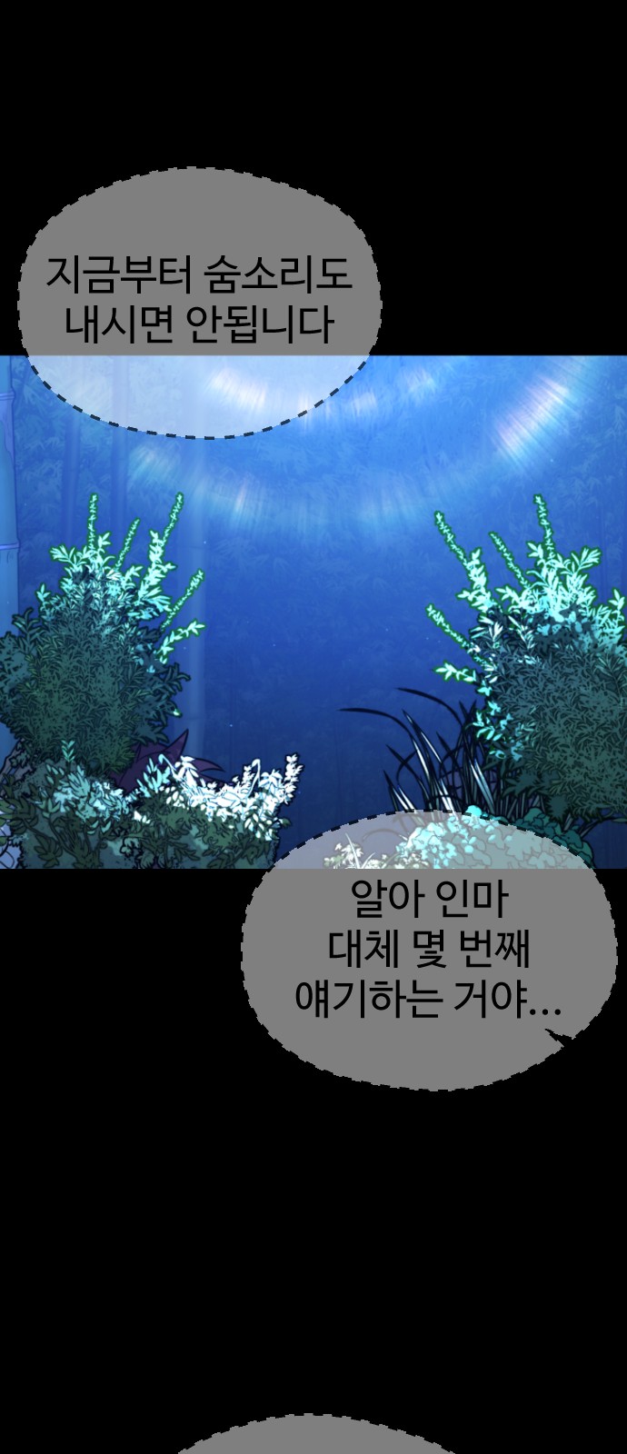 100 페이지