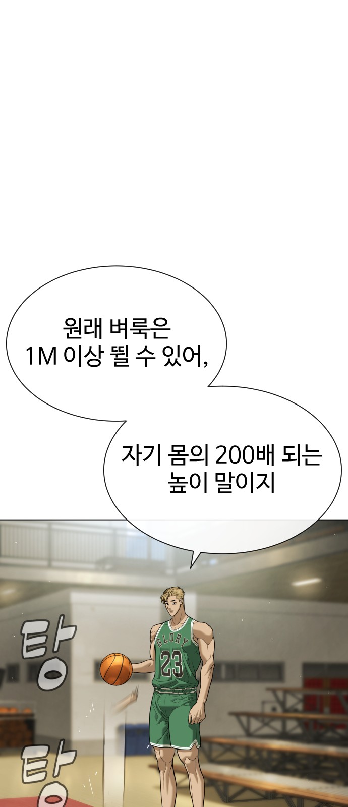 117 페이지