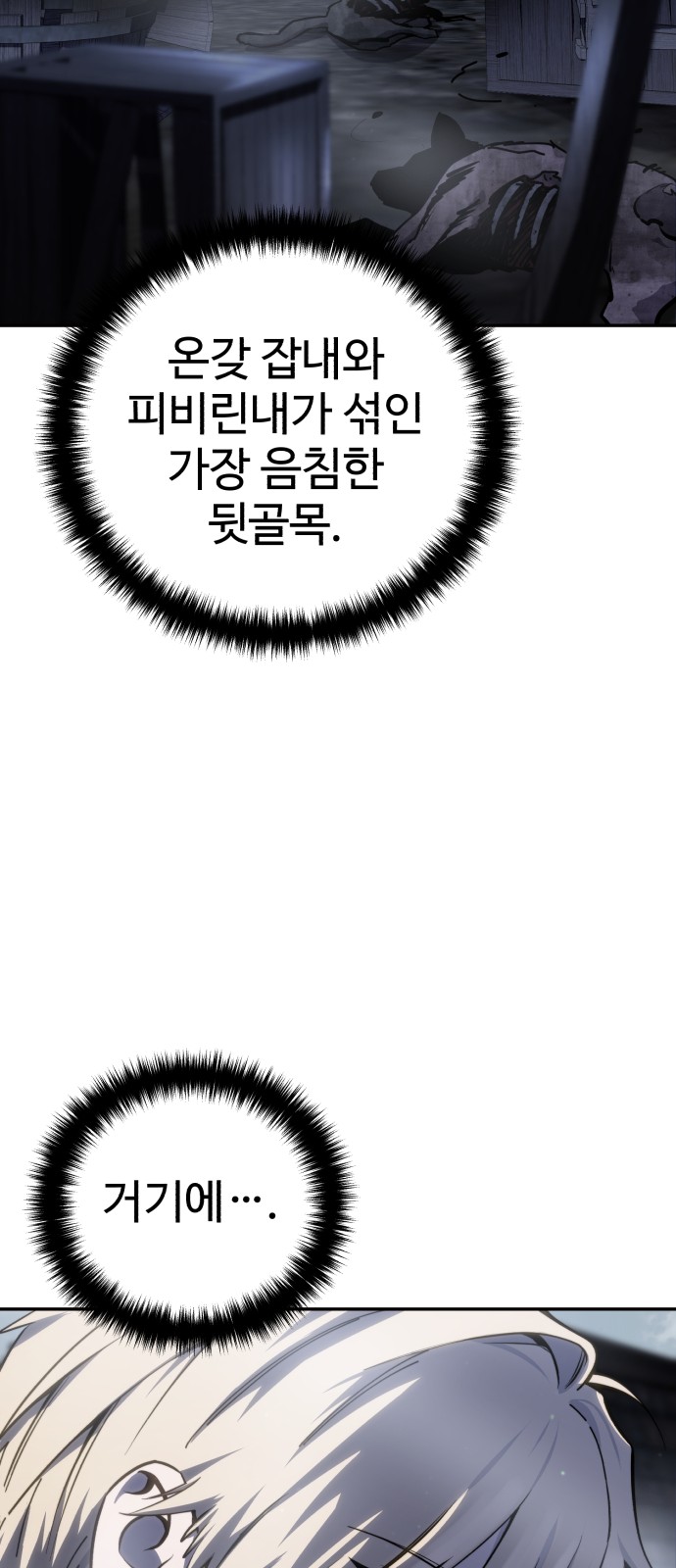 86 페이지
