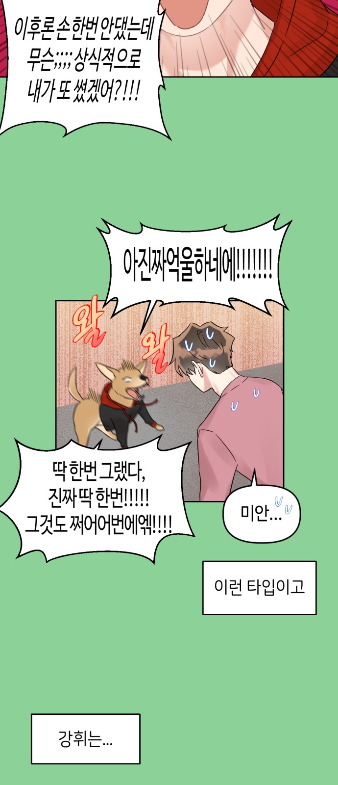13 페이지