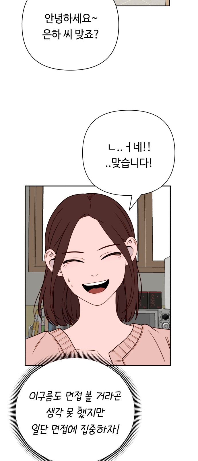 45 페이지