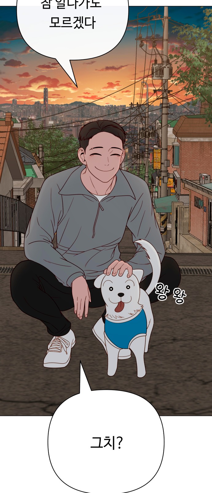 45 페이지