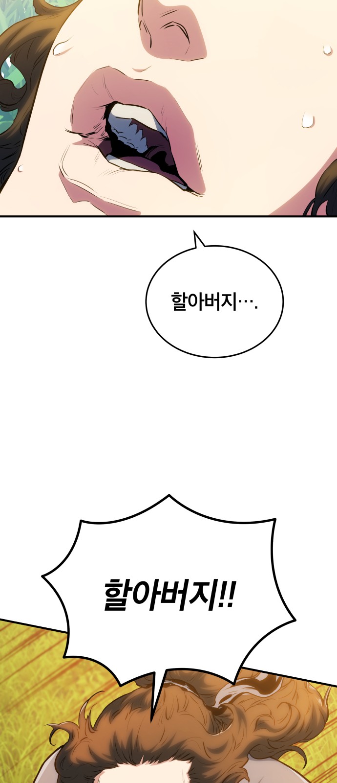 60 페이지