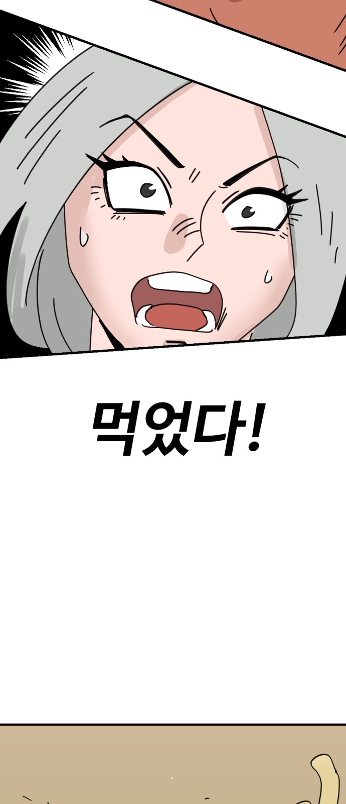 74 페이지