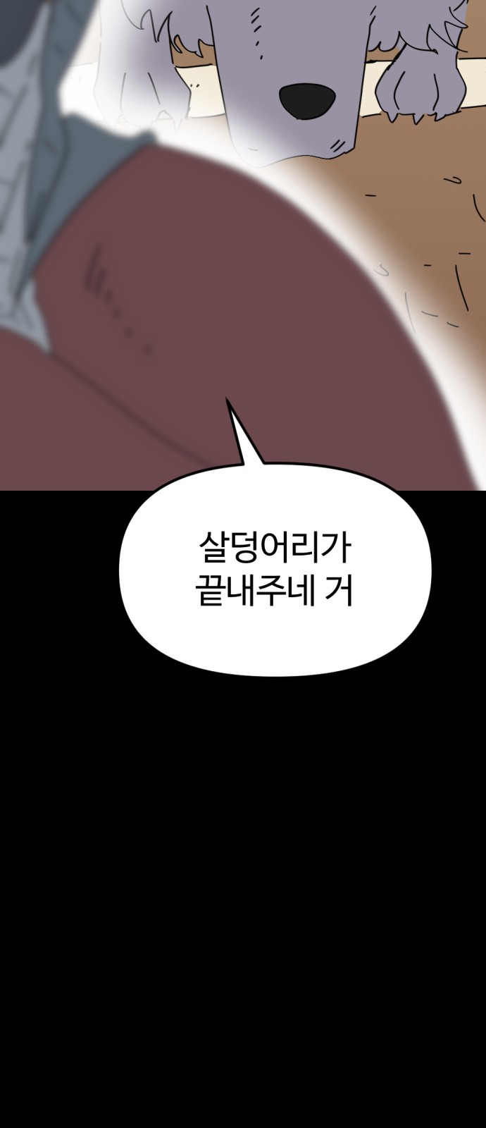 43 페이지