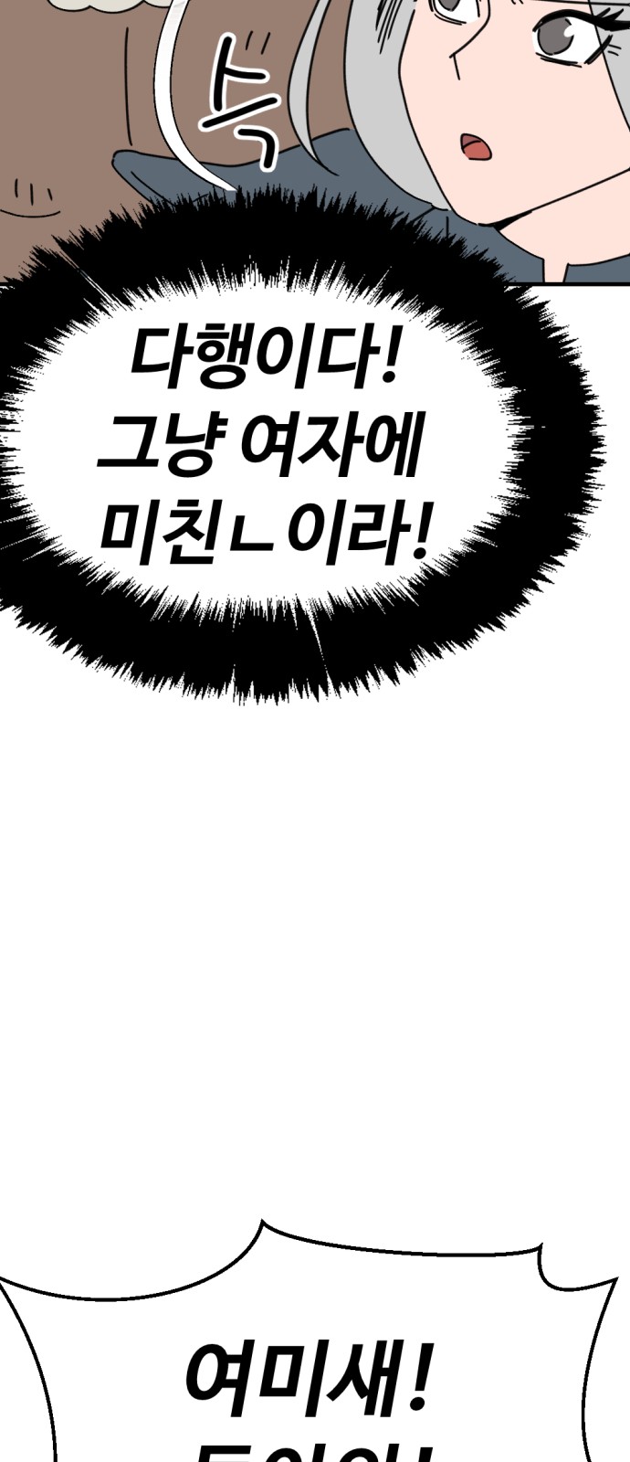 68 페이지