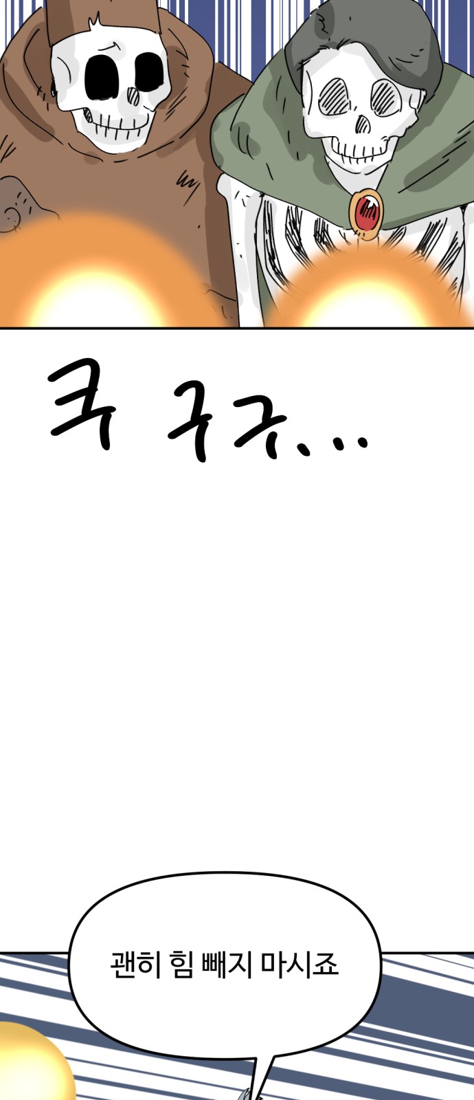 66 페이지
