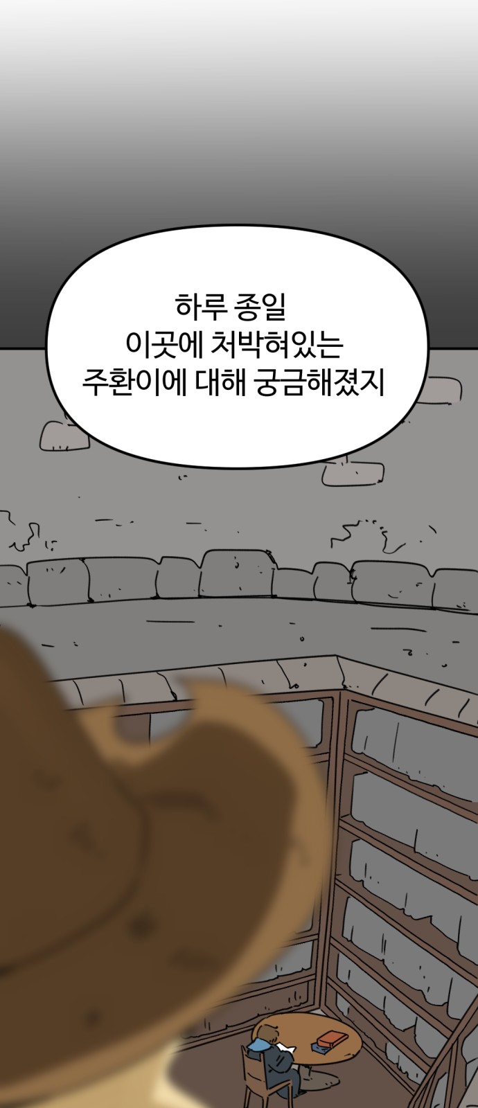 12 페이지