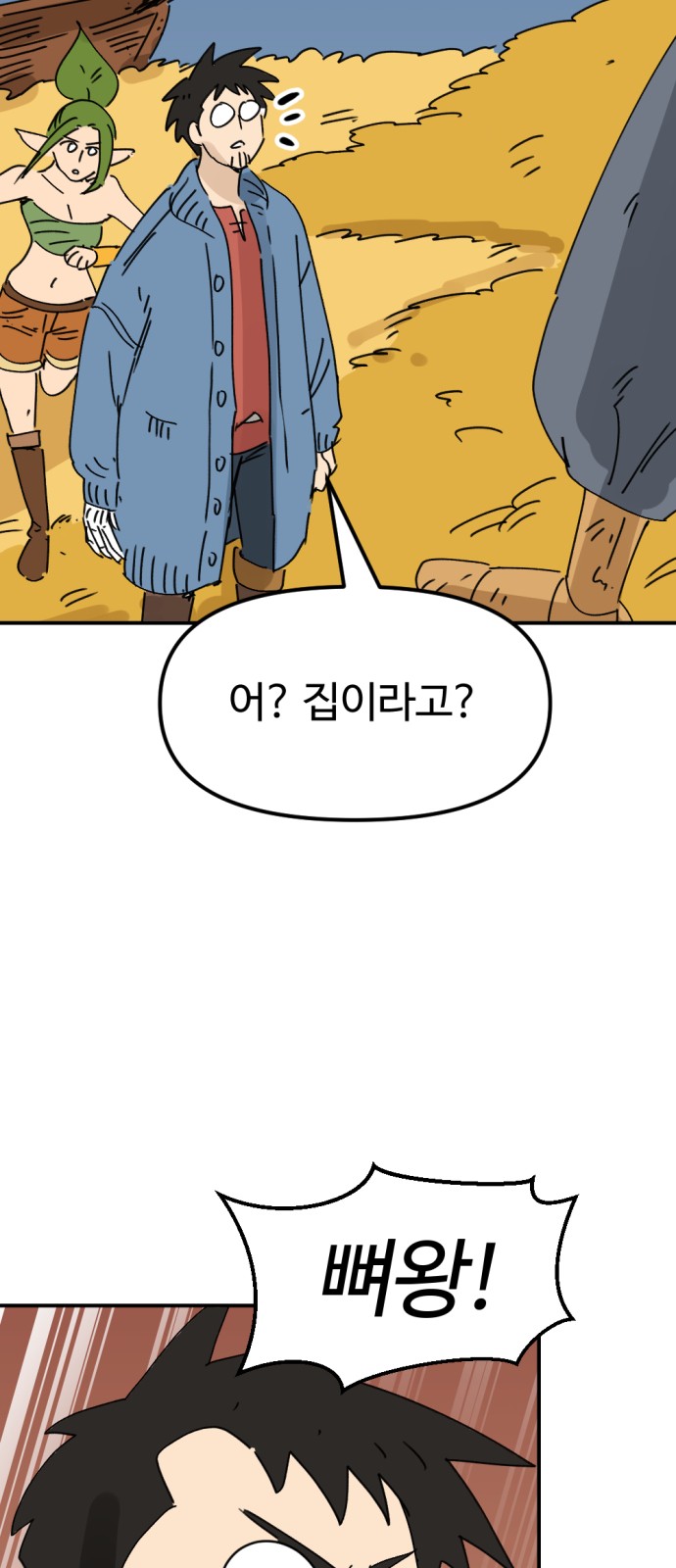 66 페이지