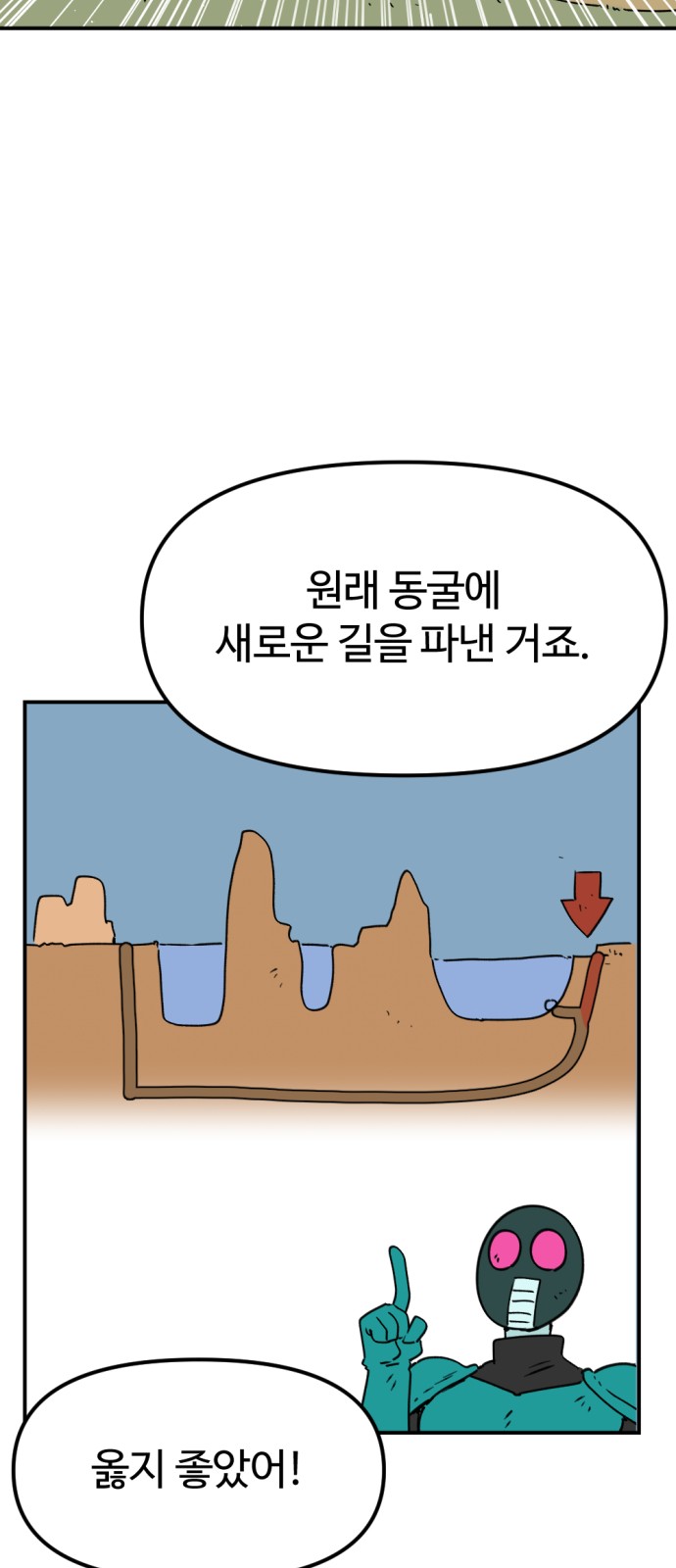 51 페이지
