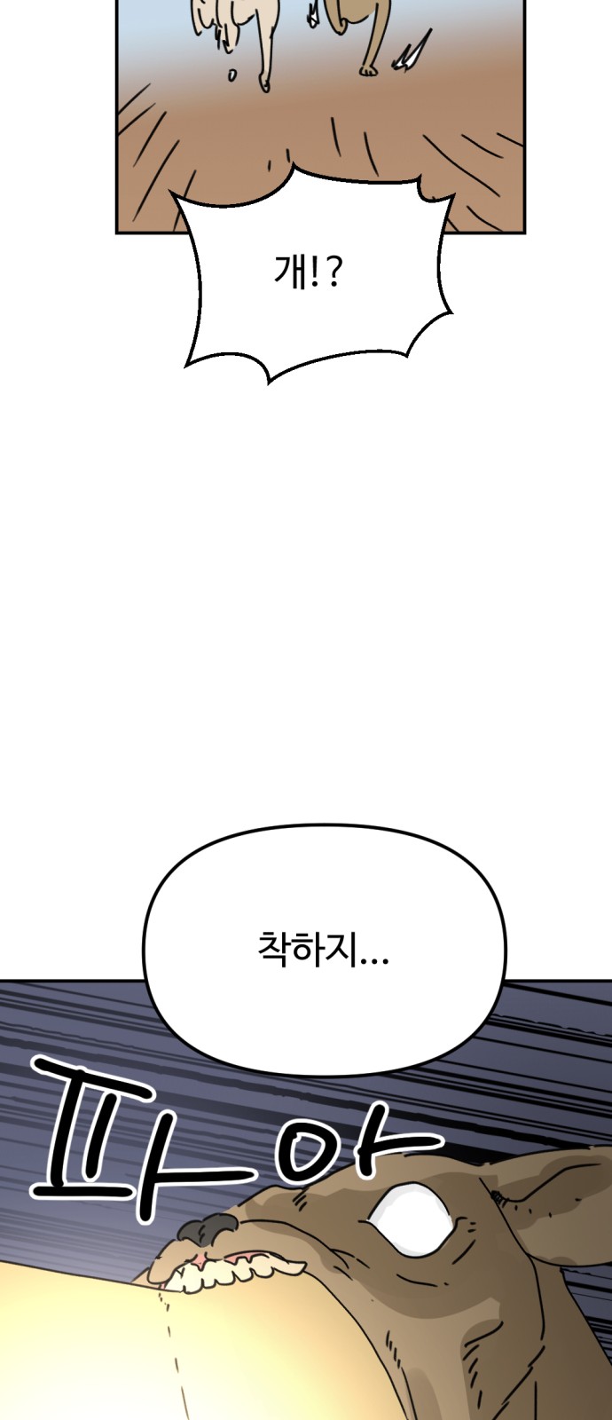 43 페이지