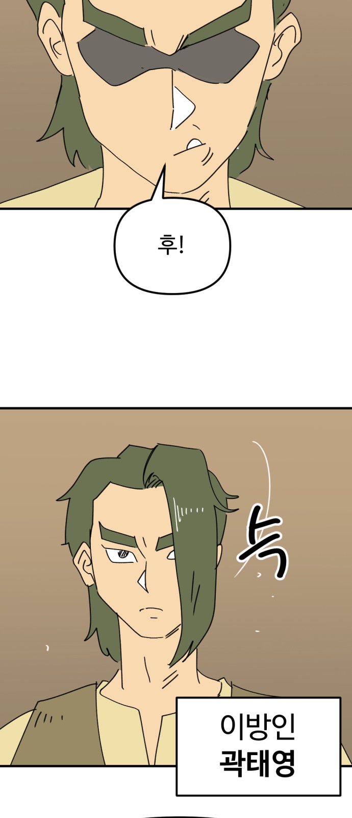 66 페이지