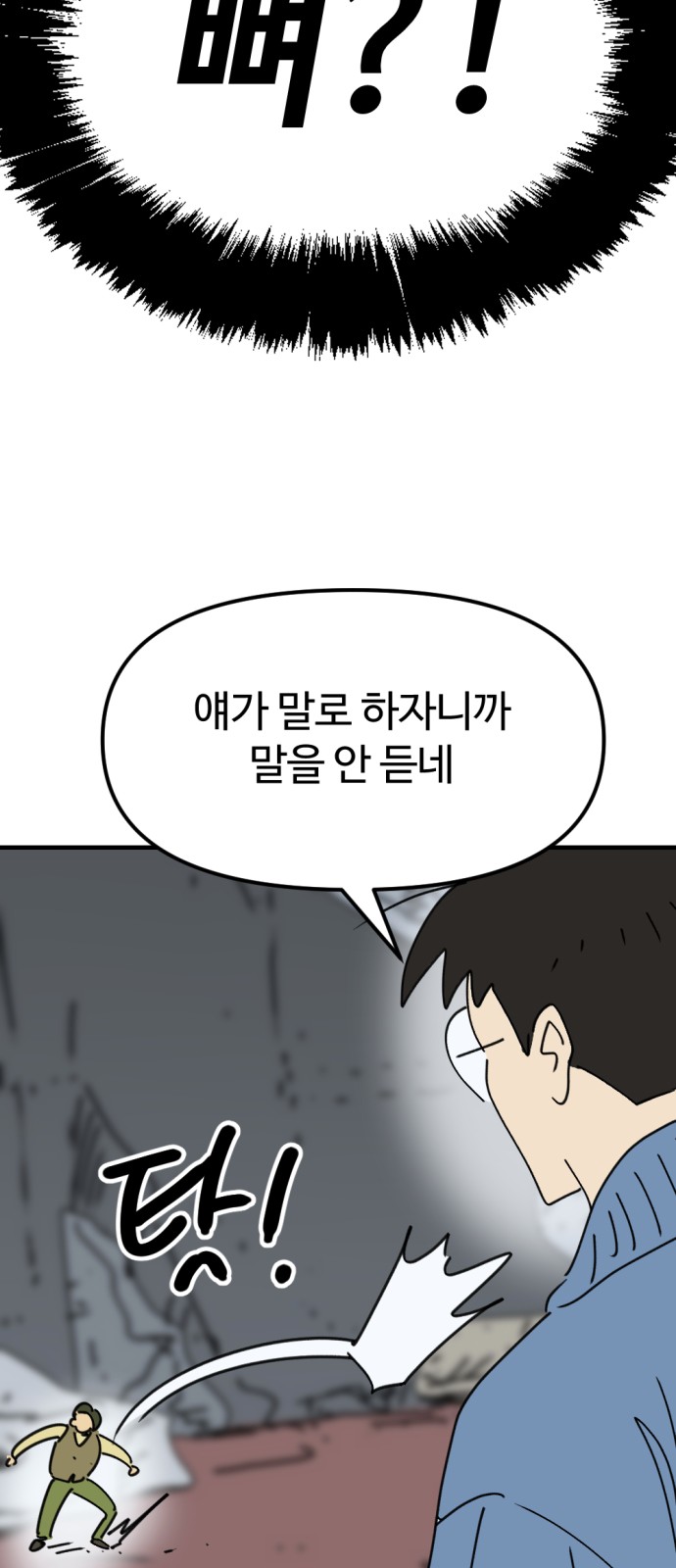 63 페이지
