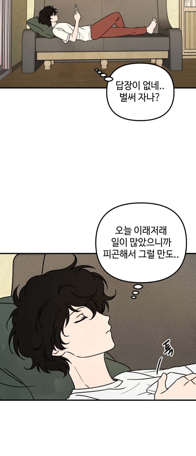 51 페이지