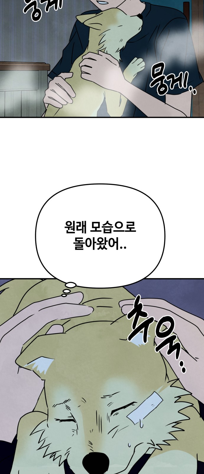 33 페이지
