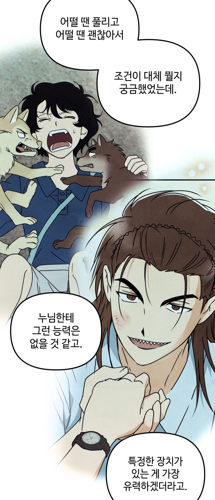 14 페이지