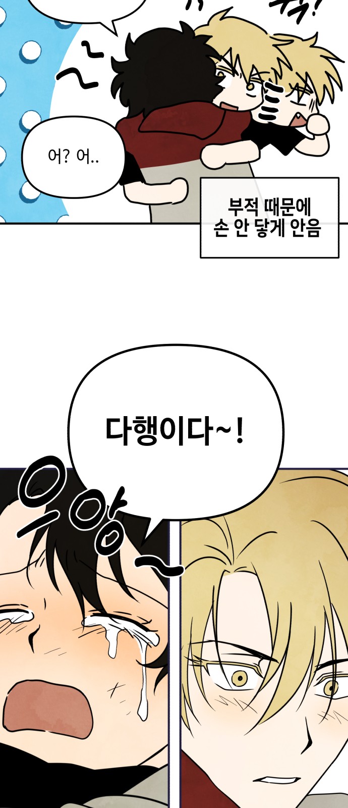 46 페이지
