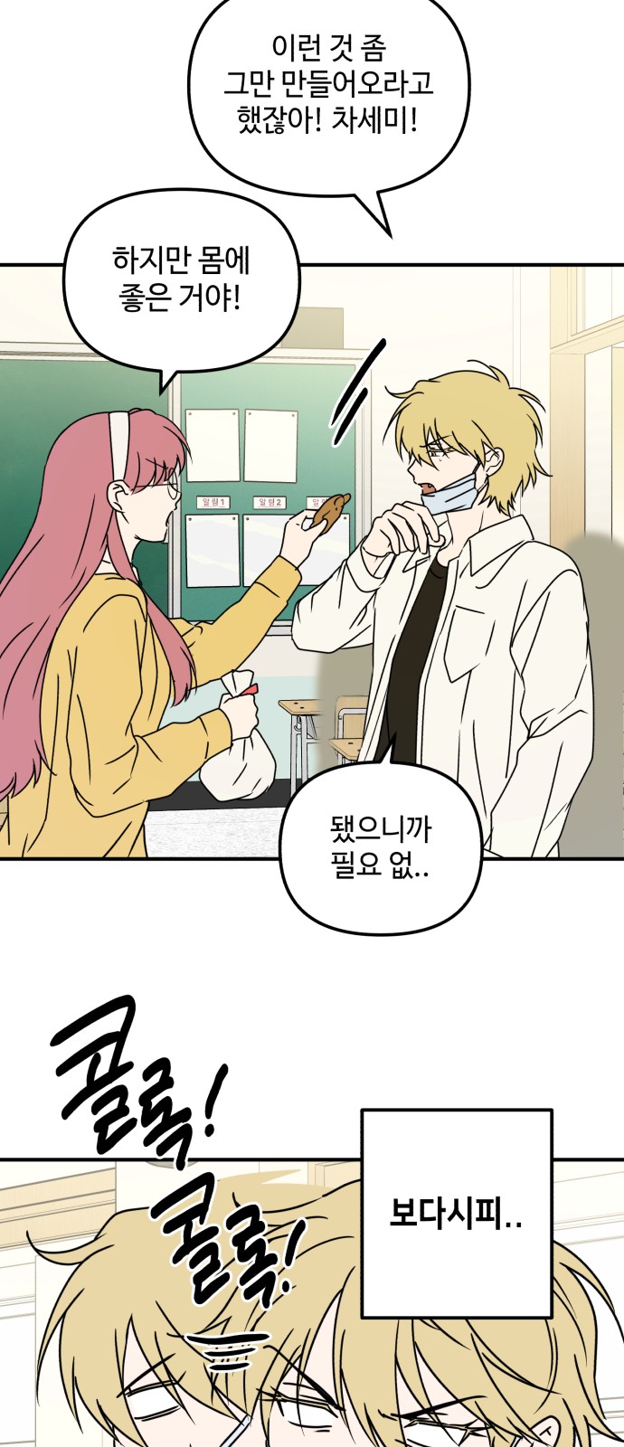 15 페이지