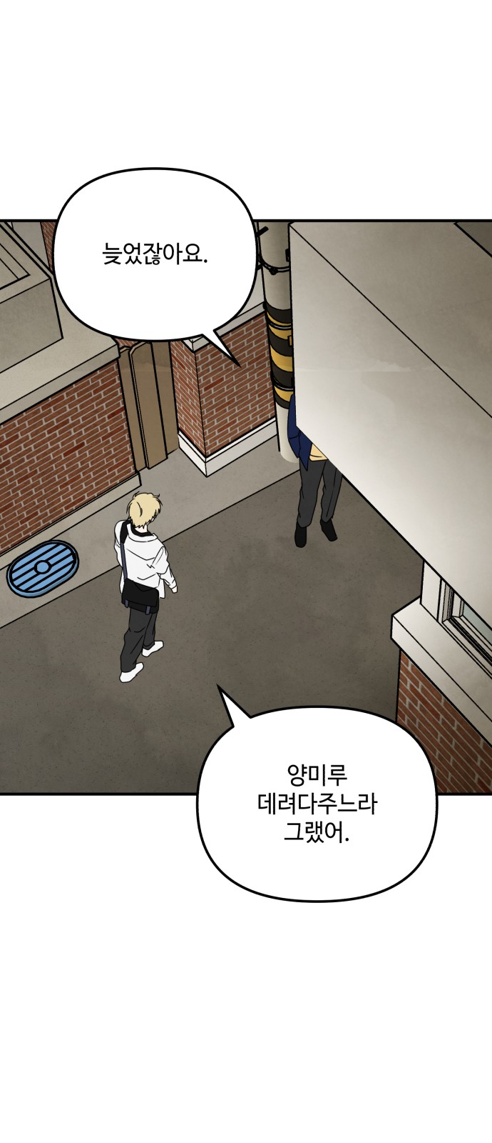 51 페이지
