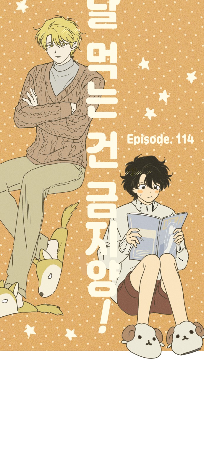 13 페이지