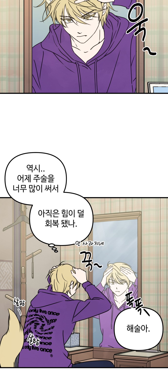 52 페이지