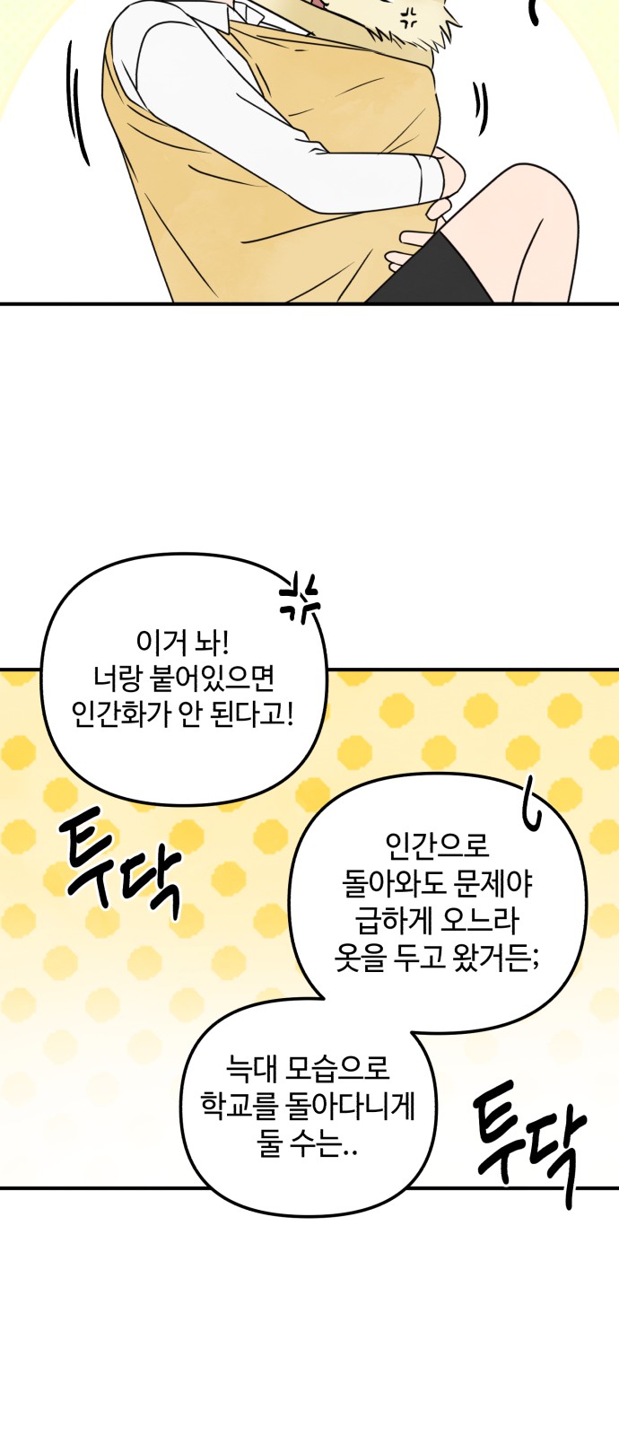 29 페이지