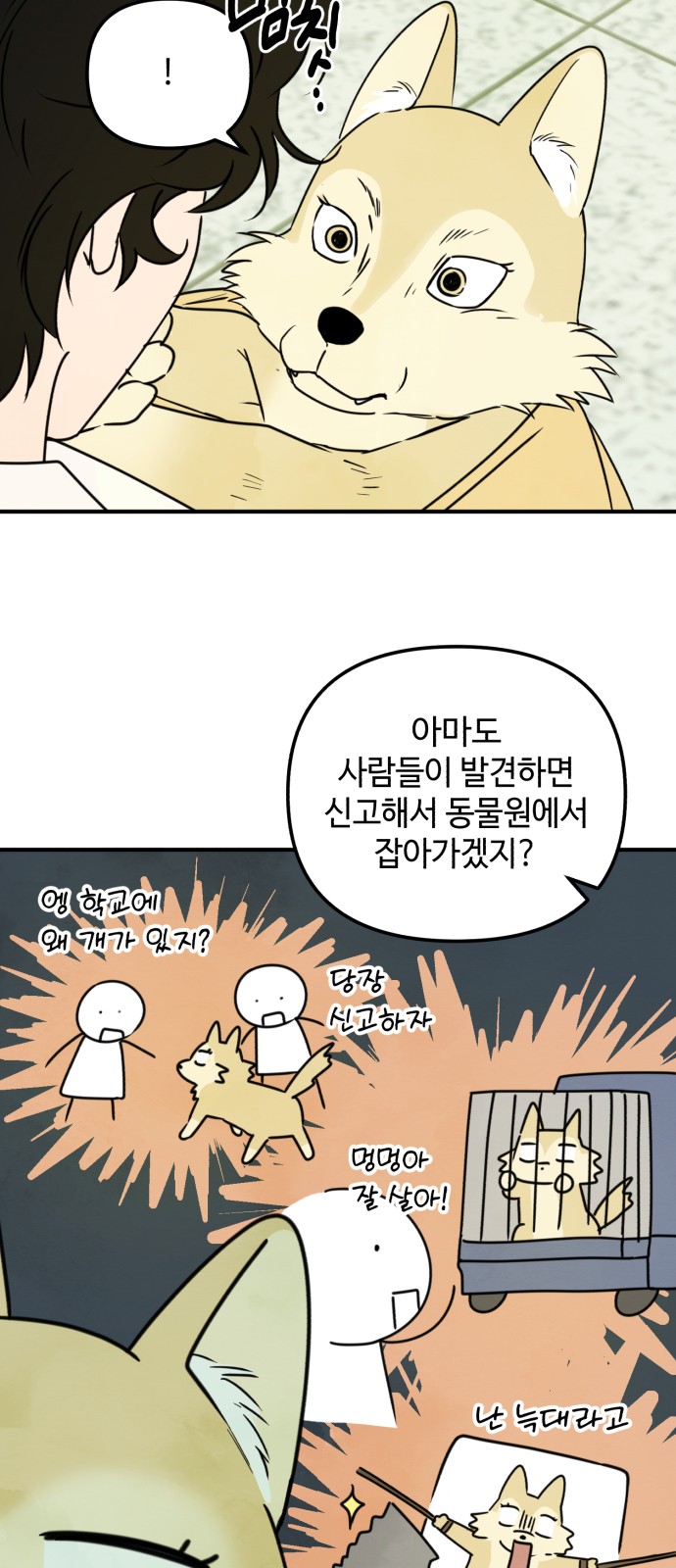 31 페이지