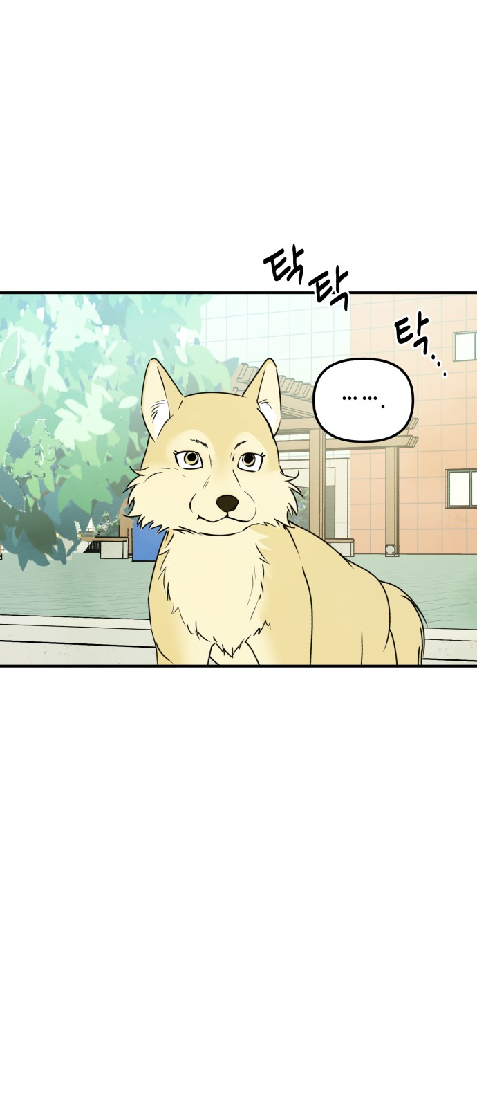 43 페이지