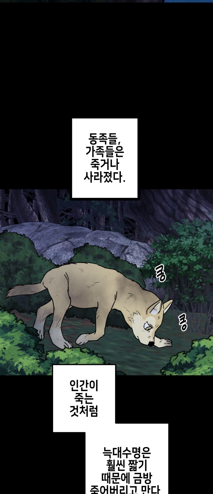 35 페이지